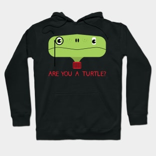 Are you a turtle? Hoodie